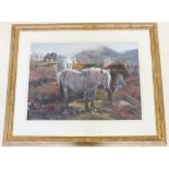 Clare Verity ? large pastel of Welsh Ponies on Hay Bluff ?After the Storm? 49 x 69cm