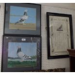 Alfred Thomas - two gouache paintings of pigeons, glazed and framed, print size 48 x 29cm and a