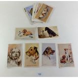 Dogs - Selection (10), drawn by Mac, Gear; Birds by W Austen (7) MB (3) Spink (2); Mice etc by N.
