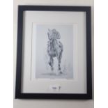 D Sampson - limited edition print of racehorse, 'Secretariat', signed in pencil, 22 x 15cm