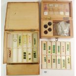 Two wooden boxes, one with botanical microscope slides, the other fitted for small bottles
