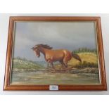 Macdonald - oil on board horse in a river, 40 x 29cm