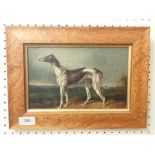 An oil on canvas, greyhound, 23.5 x 14.5 cm