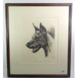 Kurt Meyer Eberhardt - limited edition print, portrait of a Great Dane, signed, 22x 24cm