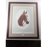 A J Gadd - limited edition print of race horse Aldaniti (Grand National Winner) from Henrietta