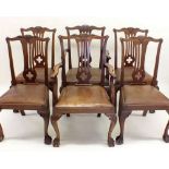 A set of six Chippendale style mahogany dining chairs on claw ball feet