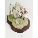 A Border Fine Arts model of a white Shire horse at show as designed by E. MacAllister 1986.