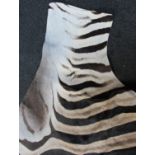 A full Zebra skin, nominal measures l.105 ins x w.58 ins