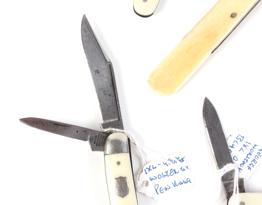 Eight bone handled vintage penknives - Image 3 of 5