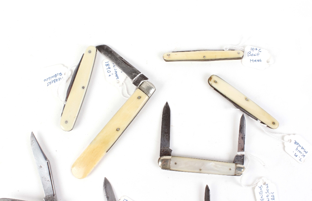 Eight bone handled vintage penknives - Image 4 of 5