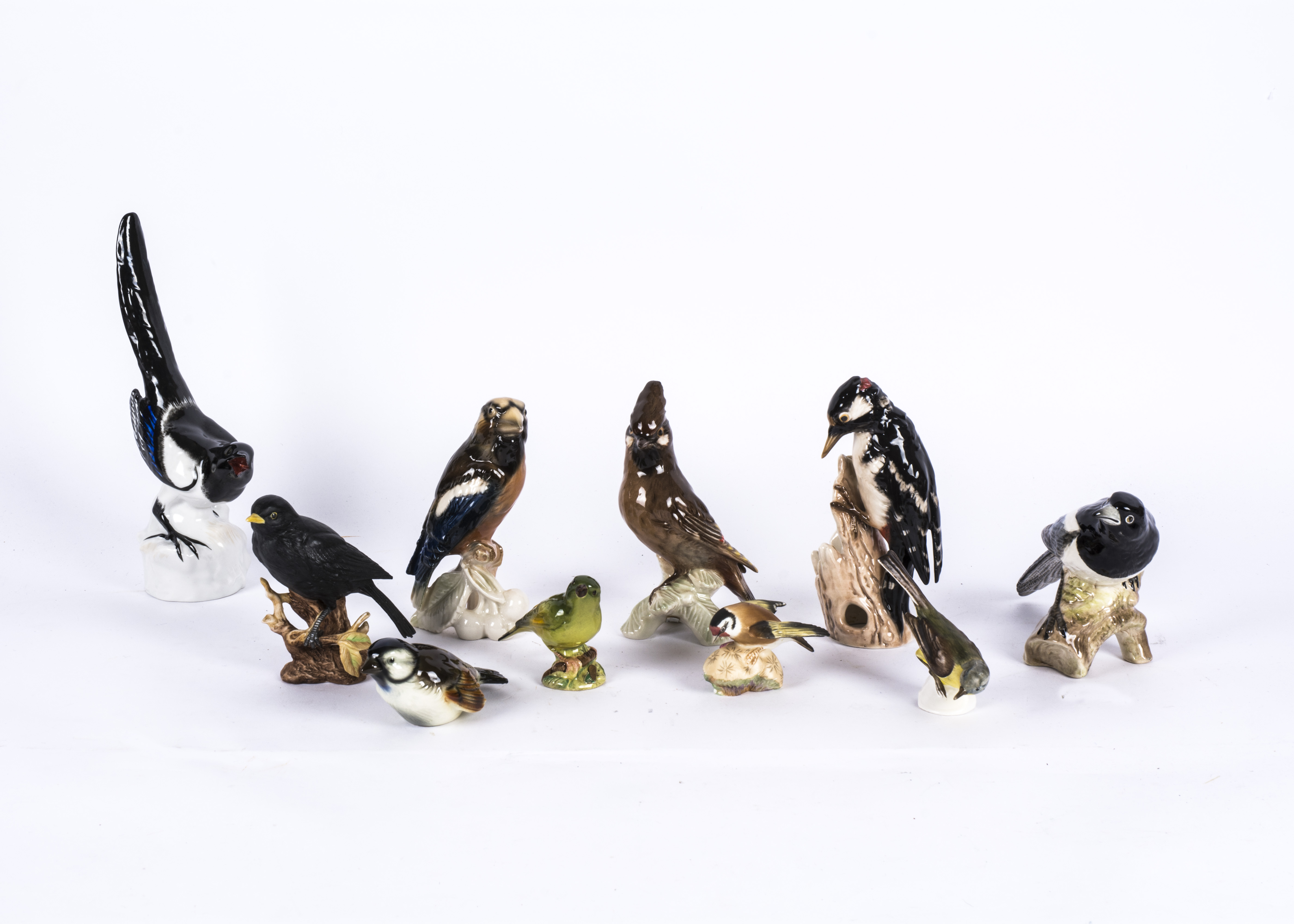 A large collection of ceramic bird figures, featuring blackbirds, bluetits, woodpeckers, magpies and