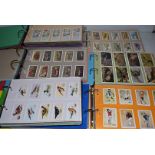 Trade Cards, an extensive collection of various trade cards, multiplr manufacturers, to include,