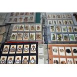 Cigarette Cards, Players, a quantity of sets, part sets and duplicates, including RAF Badges,
