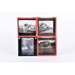 A collection of 70+ black and white glass photographic slides, showing various images including