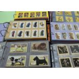 Cigarette Cards, a collection of various makers, overseas issues and re-prints, comprising