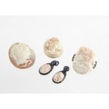 A collection of five 19th Century cameos, including a pair of shell carved and jet earrings