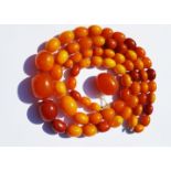 A double row of graduated amber beads, (stringing af) including one loose bead, 45cm, 70g, largest