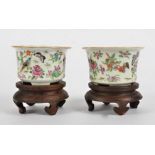 A near pair of 19th Century Chinese Famille Rose plant pots, of miniature size, decorated with