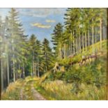 A 20th Century oil on canvas, attributed to Müller-Hartau, depicting a pine forest, indistinct