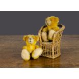 Two German teddy bear cubs, with golden mohair, orange and black glass eyes, inset white mohair