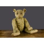 A large early Steiff teddy bear, with blonde mohair, black boot button eyes, pronounced clipped