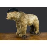 A large Steiff bear on wheels circa 1910, with dark blonde mohair, black boot button eyes,