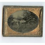 Ambrotypes, quarter-plate, milk cart, pony and two lads, sixth-plate, small pony and groom, and