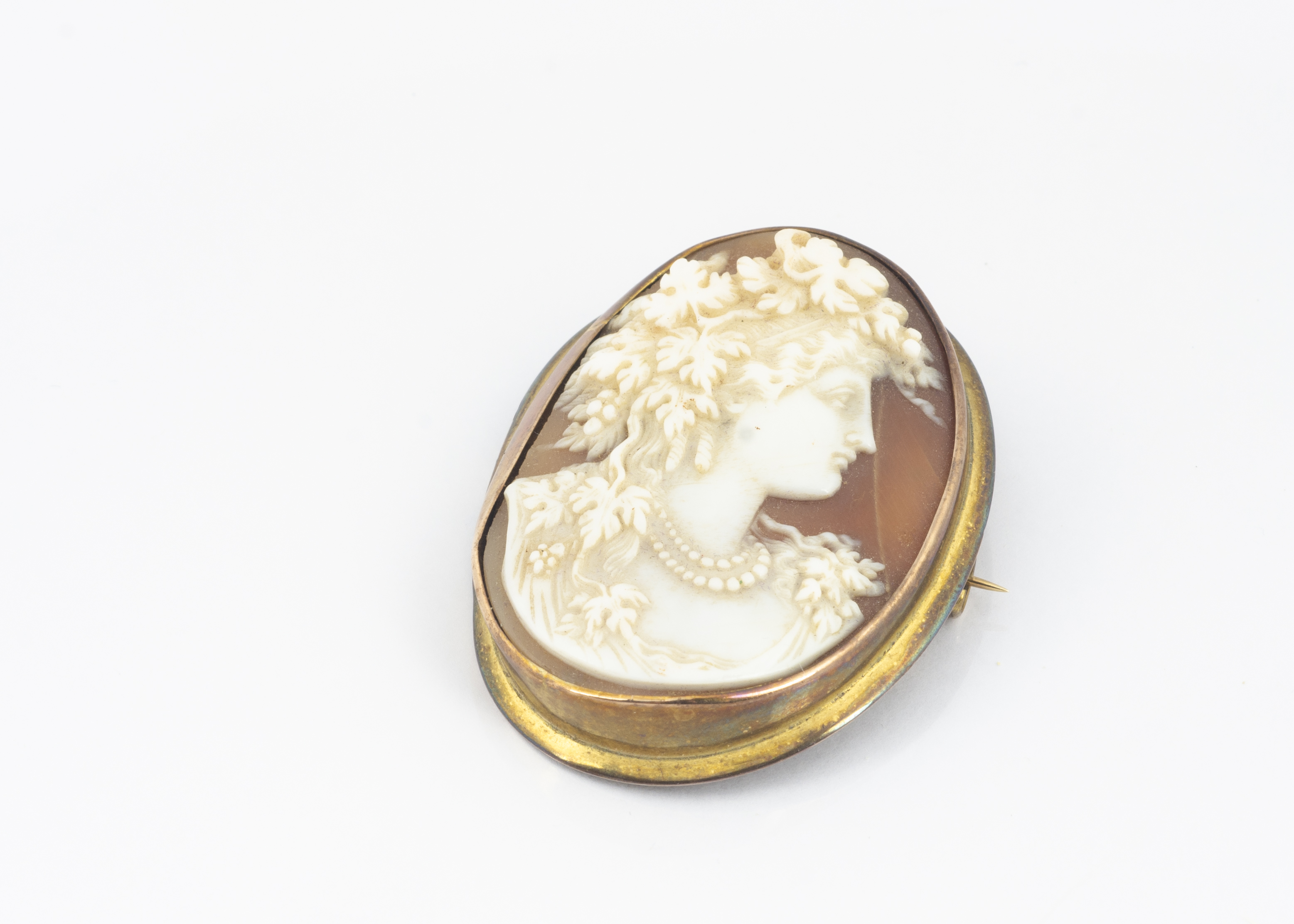 A 19th Century shell cameo, carved depicting classical female with flora and fauna headdress and