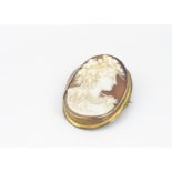 A 19th Century shell cameo, carved depicting classical female with flora and fauna headdress and