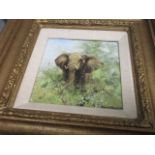 David Shepherd (1931-2017) oil on canvas, depicting an African elephant in shrub land, signed (lower