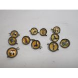 A small collection of Guinness buttons, featuring tortoise, toucan, seal, kangaroo and others (11)