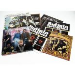 Buffalo Springfield Box Set, What's That Sound - Complete Albums Collection - Limited Edition 5 LP