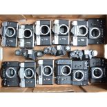 A Tray of Zenit Camera Bodies, models including an EM Moskva 80, Zenit 3, B (2), EM, E (4), 12 XP (