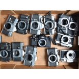 A Tray of SLR Camera bodies, including Minolta SR-7, SRT 101, XG-M, Canon FT QL, Sigma mark-1,