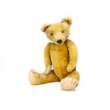A large German 1930s teddy bear, with golden mohair, orange and black glass eyes, pronounced muzzle,