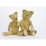 Two 1930s teddy bears: a British bear with golden mohair, pronounced muzzle, black stitching, swivel