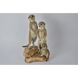 A cast group of Meercats, with a label to the base "Country Artists for the Discerning, Fine Figures