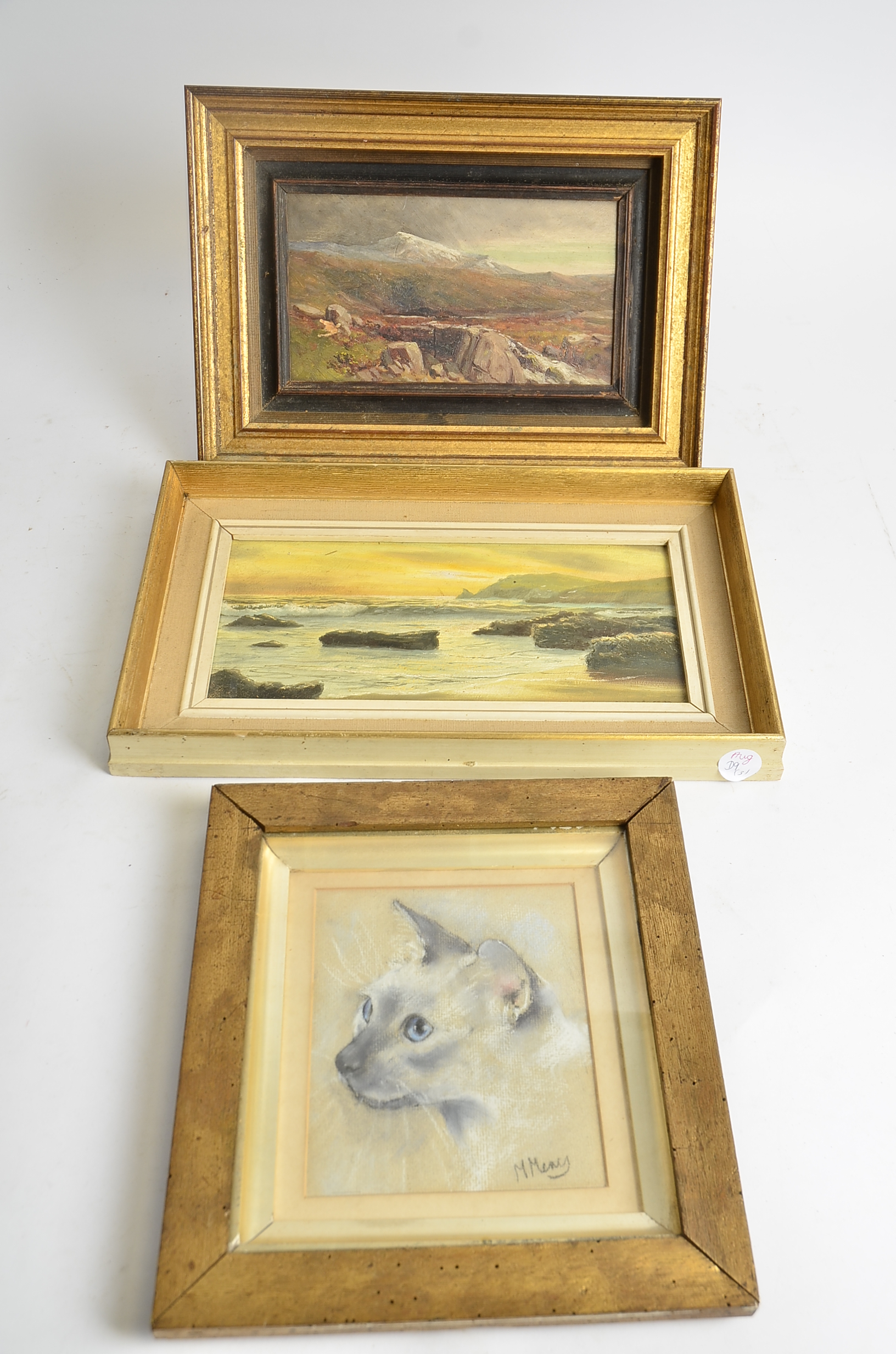 A pastel drawing of a Siamese cat, framed and glazed, 16cm x 13cm, together with two oil on board - Image 2 of 2