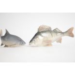 A Royal Copenhagen porcelain model of a large Perch, no.1138, length 21.5cm, together with a