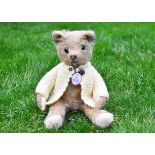 Little Fellow a rare small Harwin teddy bear circa 1915, with blonde mohair, clear and black glass