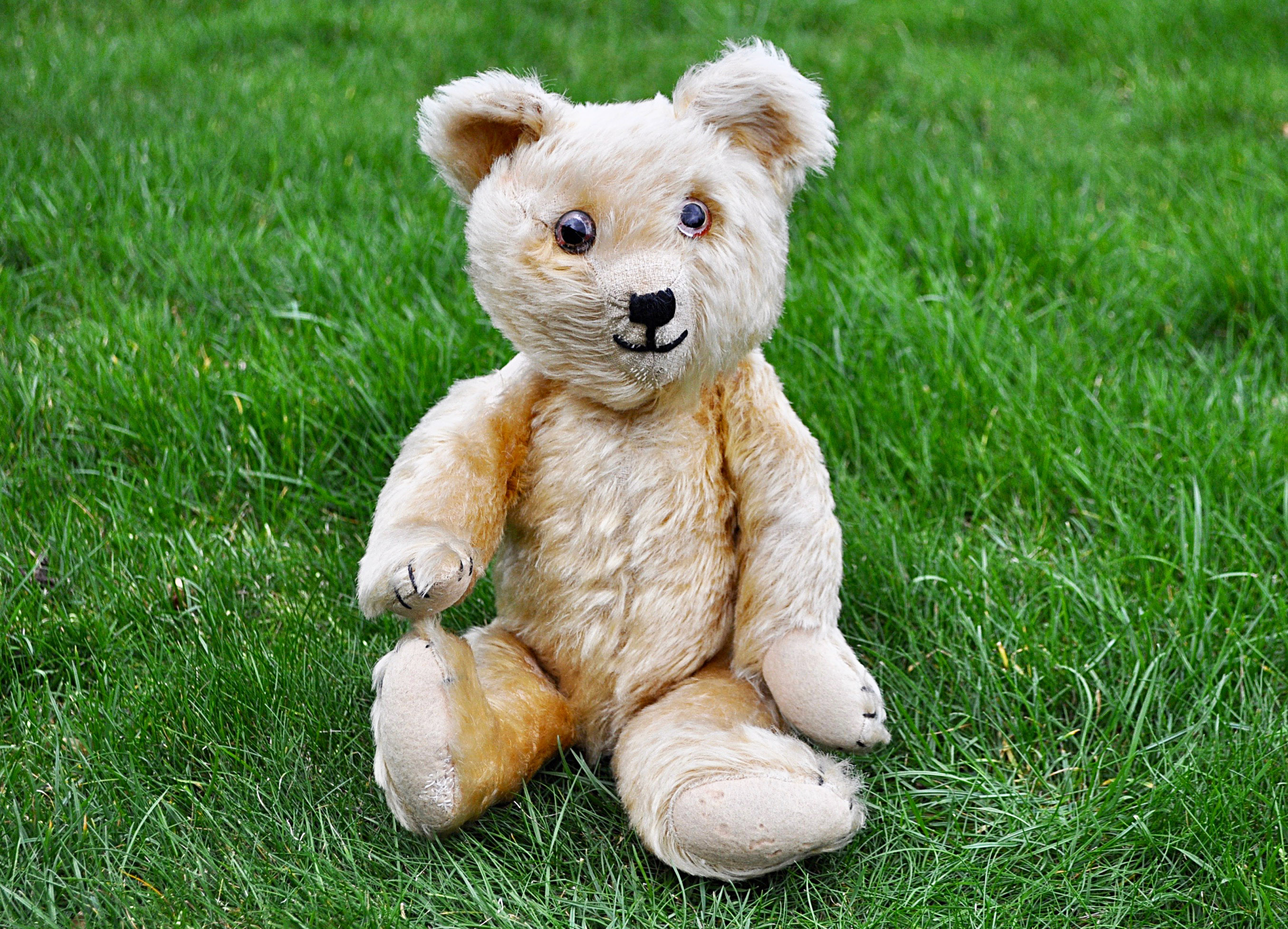 Meg a British United Manufacturing Co Ltd Omega teddy bear 1930s, with golden mohair, clear and