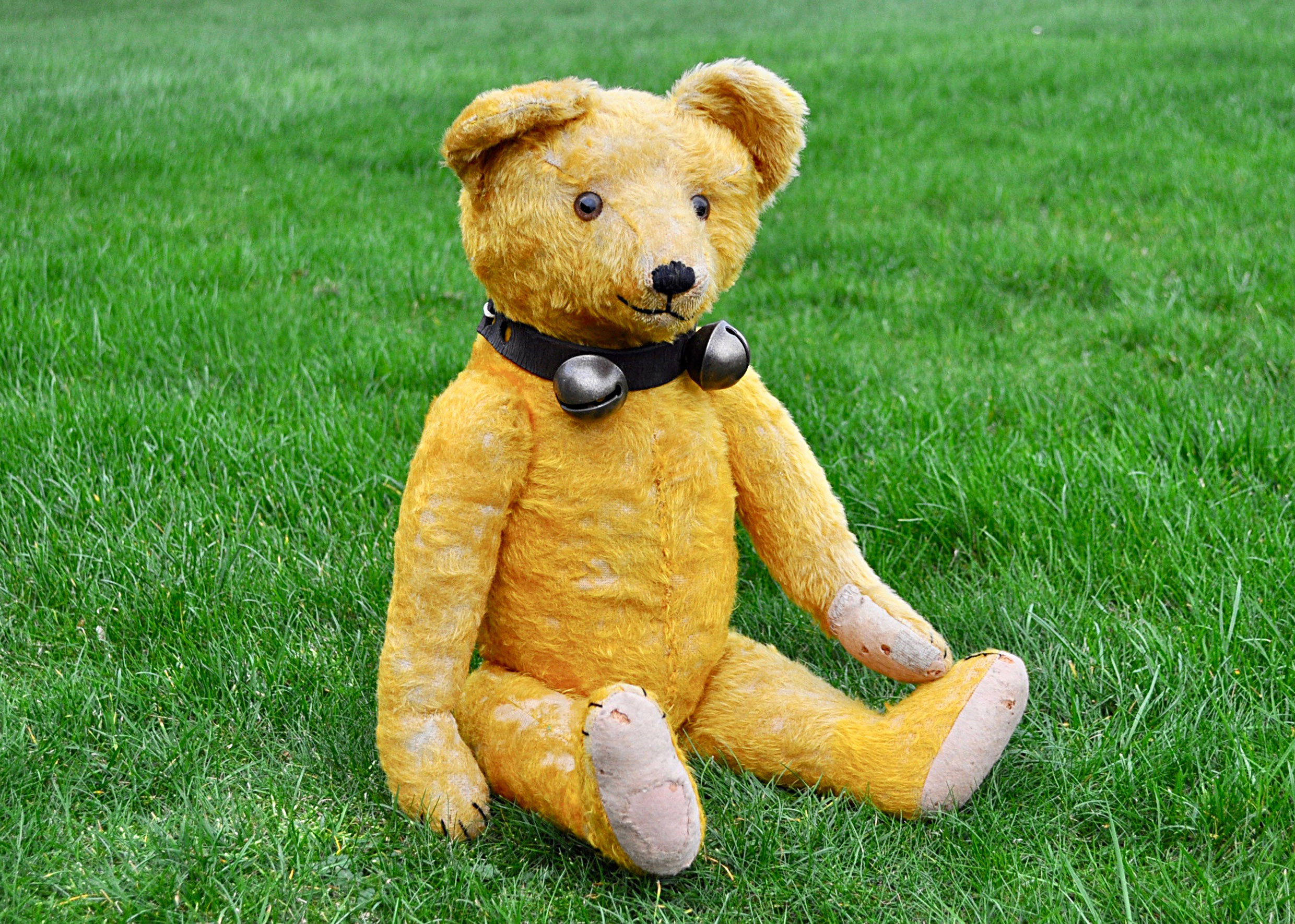 Sunny a German teddy bear 1920s, probably Cramer with bright golden mohair, clear and black glass