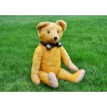 Sunny a German teddy bear 1920s, probably Cramer with bright golden mohair, clear and black glass