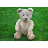 Confucius a 1930s teddy bear, with golden mohair, clear and black glass eyes with remains of brown