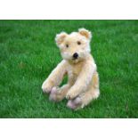 Herr Jungen a German teddy bear 1930s, possibly Jopi with golden mohair, clear and black glass