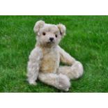 Muzzle a British teddy bear 1930s, with pale golden mohair, orange and black glass eyes,