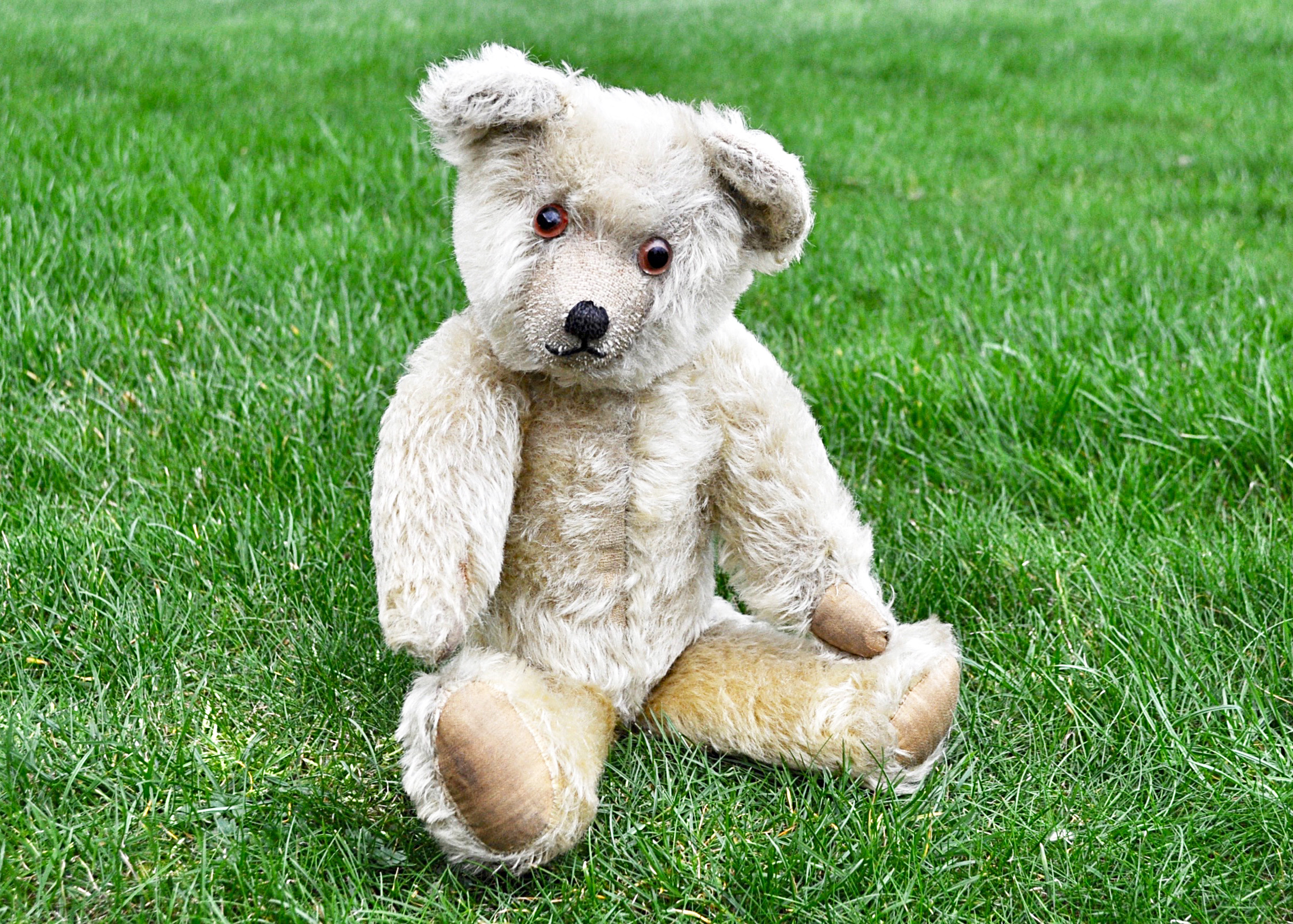 Puddles a Teddy Toy Company teddy bear 1930s, with golden mohair, clear and black glass eyes with