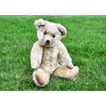 Puddles a Teddy Toy Company teddy bear 1930s, with golden mohair, clear and black glass eyes with