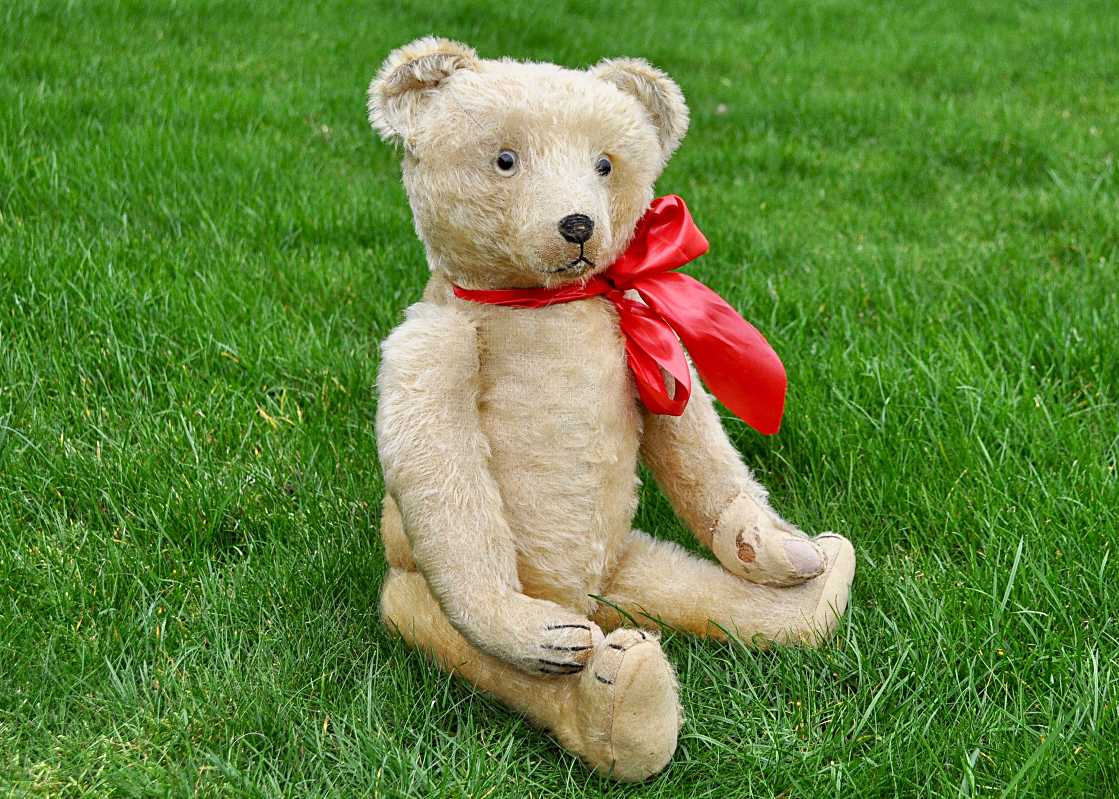 Baron Cramer a German teddy bear 1920s, with light golden mohair, clear and black glass eyes,