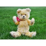 Squeeze a German musical teddy bear 1930s, with light golden mohair, clear and black glass eyes with